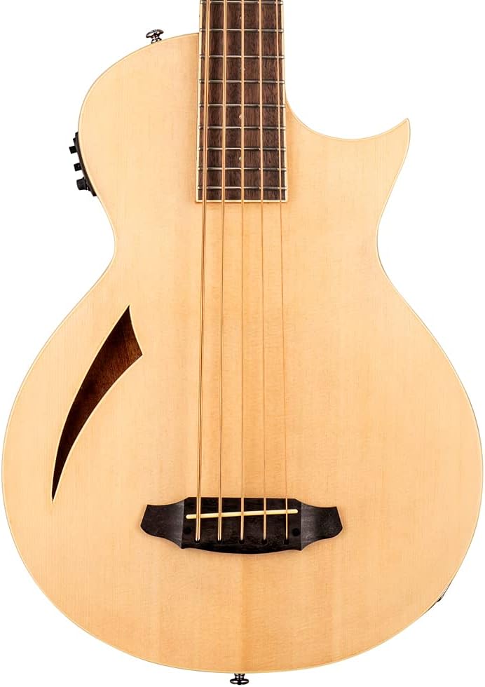 ESP LTD TL-5 Thinline Bass, Natural