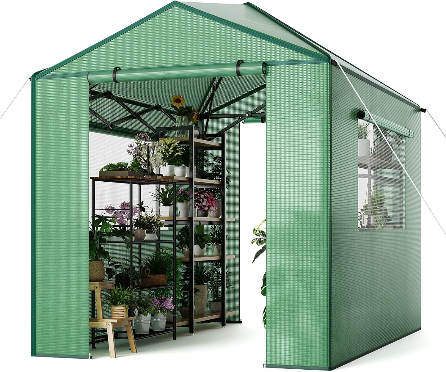 Pop Up Greenhouse 8x6 FT,Portable Walk-in Indoor Outdoor Greenhouse for Garden Patio Backyard,Zippered Doors and Window,PE Cover,96x72 inch