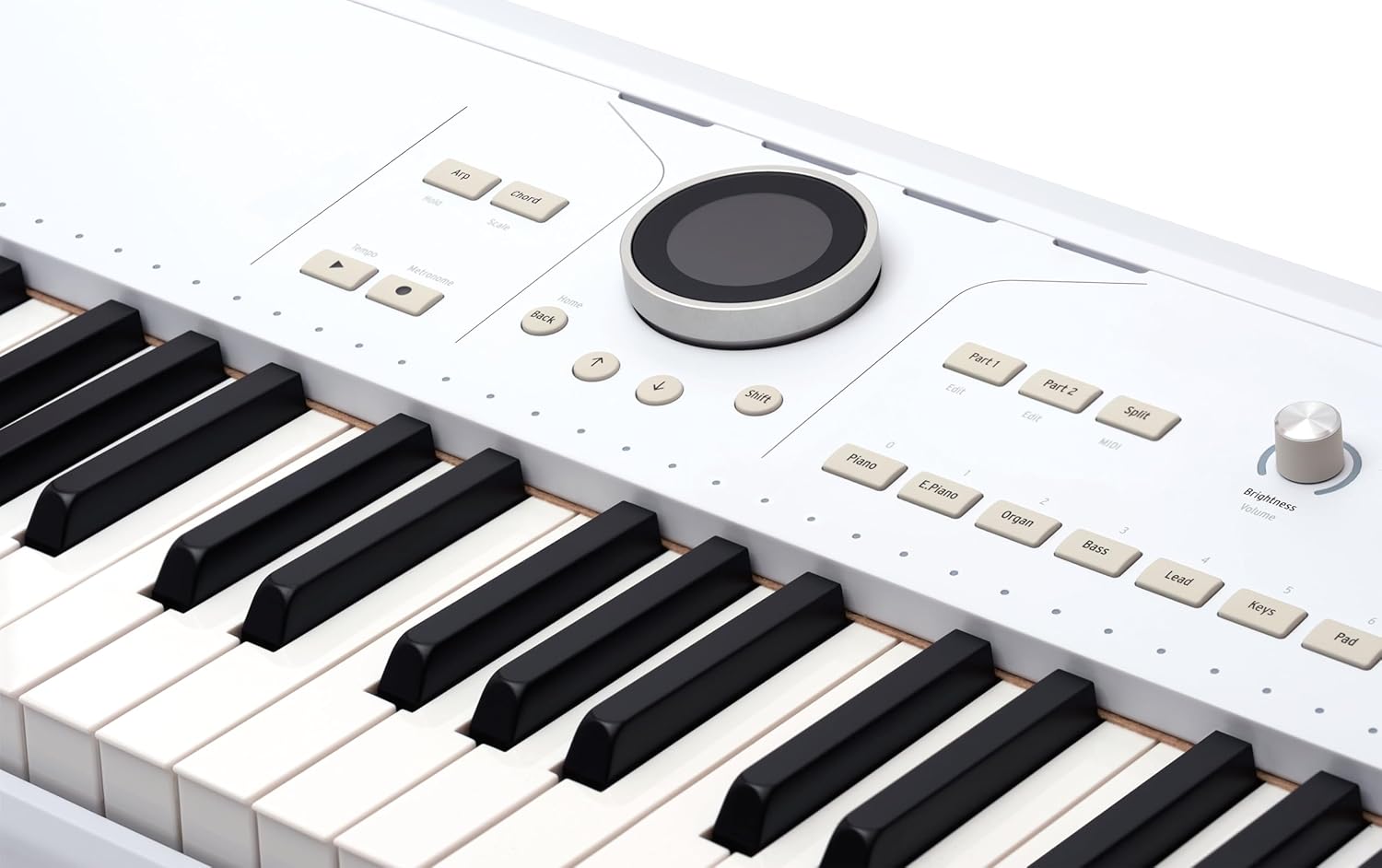 Arturia AstroLab 61-Key Semi-Weighted Stage Keyboard — With 1300 Sounds and Analog Lab Pro Software Included