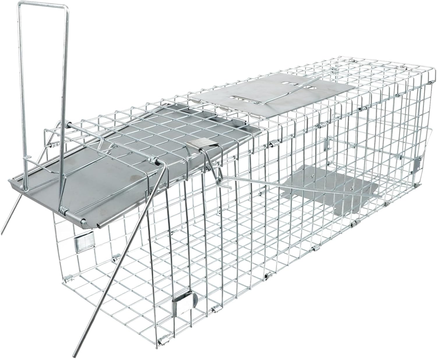 Folding Humane Live Cage for Cats Rabbits and Raccoons Galvanized Portable Quick Secure Capture Design