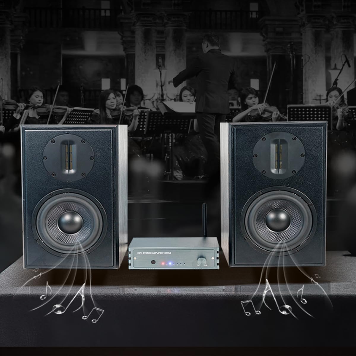 Passive Bookshelf Speakers 5.25