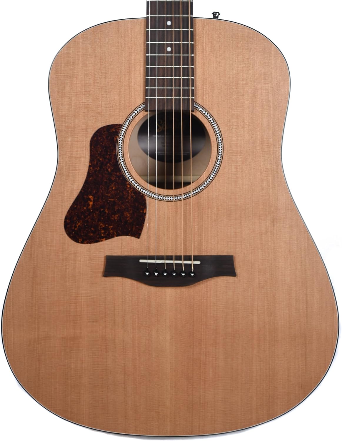 S6+ GT Acoustic Guitar