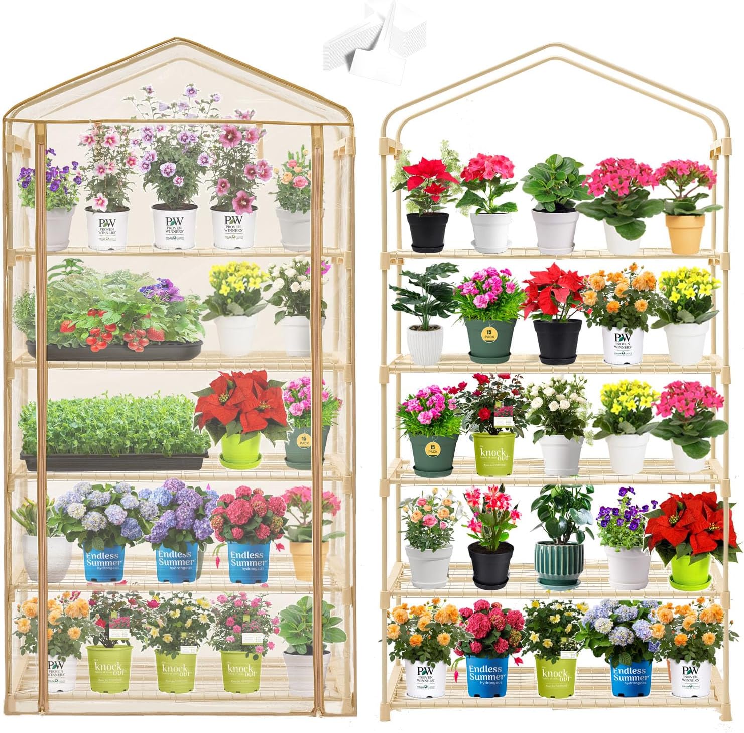 Garden 50% Extra Wide Mini Greenhouse 5 Tier Portable Plant Green House 40 in Wide -Sturdy Gardening Shelves with PE Cover & Roll-Up Zipper Door-19″W. x 40″L. x63″H(PLGH1005OWP)