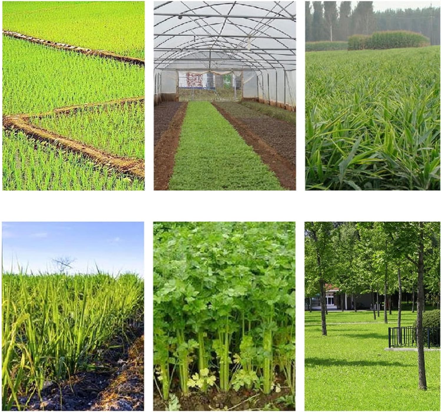 Pool Above Ground Garden Irrigation Water Hose, Double Side Water Injection Easy To Irrigate Thickened Oxford Cloth High Temperature Resistance Spacing 1m Customizable Length ( Color : Black+Green , S