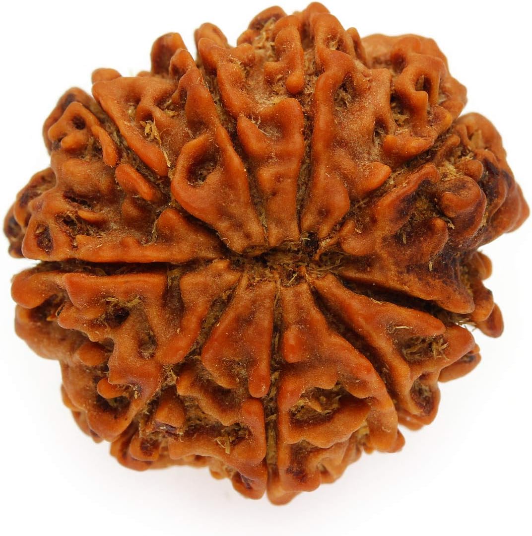 SitaRama RDB009A Rudraksha Beads 9 Sided (Nepal)