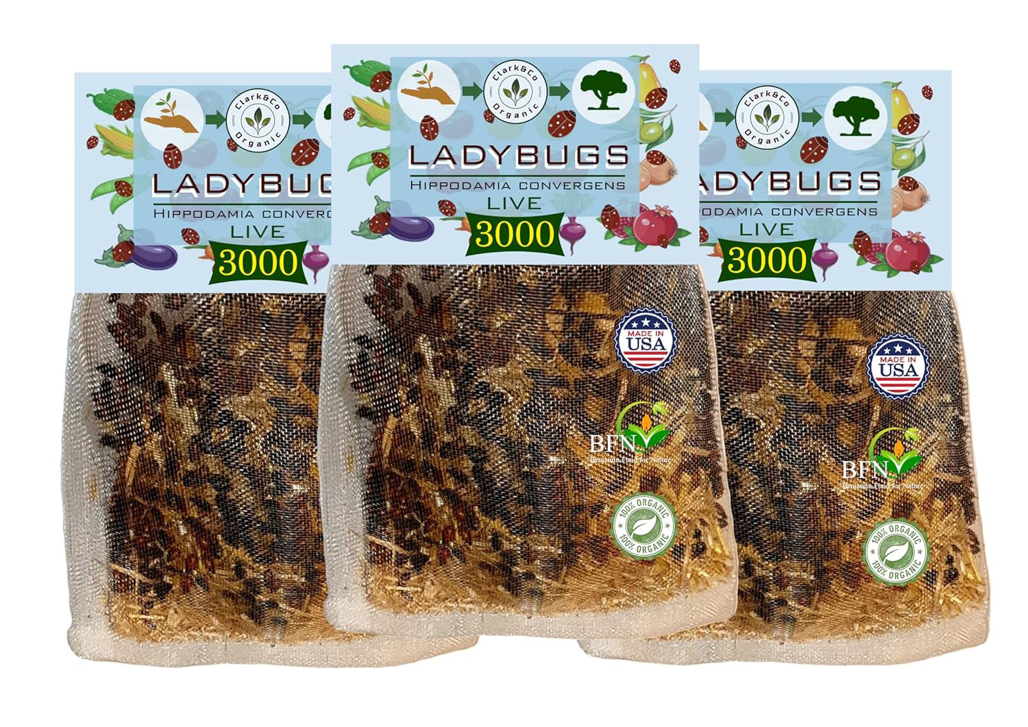 3000x3 (9000) Live Ladybugs - Good Bugs for Garden - Pre-Fed Hippodamia Convergens - Guaranteed Live Delivery!…
