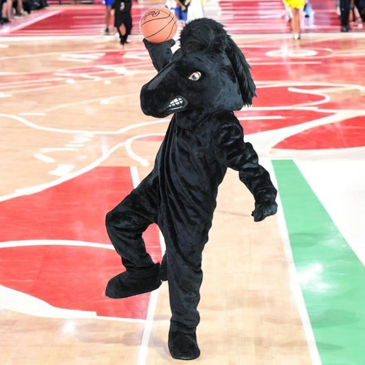 TCDesignerProducts Black Stallion Mascot Costume, School Spirit Sports Fan Gear, Football Cheerleader Accessories, Homecoming